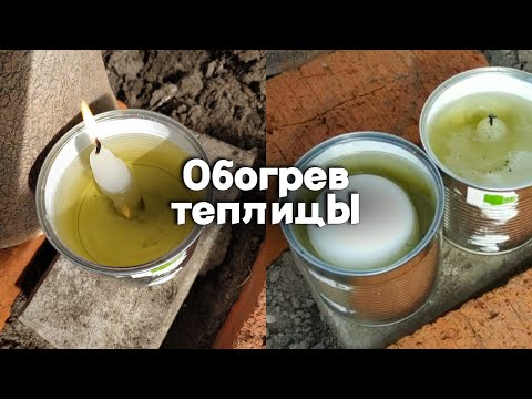 Видео: Способ  обогрева теплицы / Как спасти рассаду от заморозков / Как перезимовал инжир