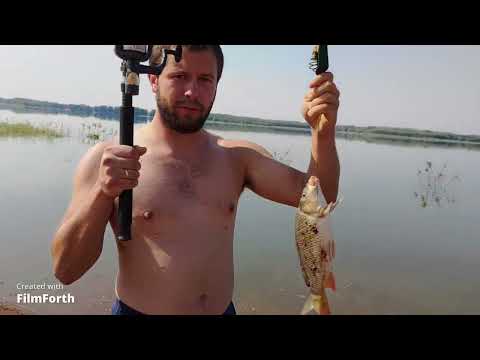 Видео: Утренний клев на Димитрово   Сазаны порадовали...