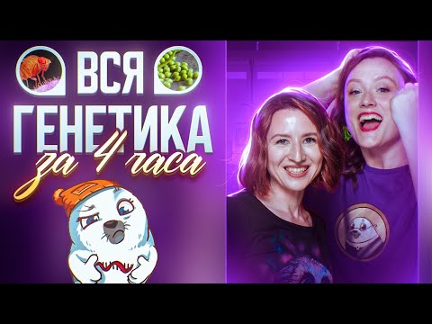 Видео: Вся генетика за 4 часа | ЕГЭ-2025 по биологии