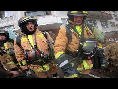 Видео: Загорелся кошкин дом