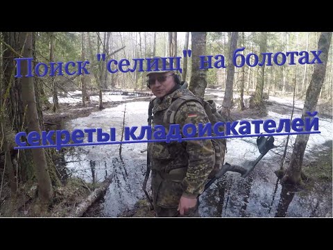 Видео: Поиск древних поселений на болотах! Коп 2023г. Основы и секреты кладоискателей!