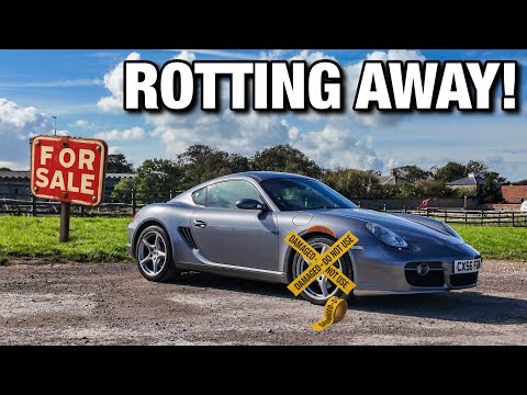 Видео: Проблемы Porsche и важное решение…