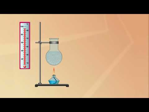 Видео: Суюктуктун кайноосу