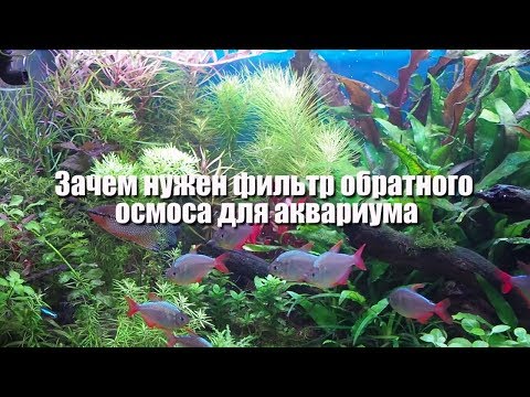 Видео: Зачем нужен фильтр обратного осмоса для аквариума