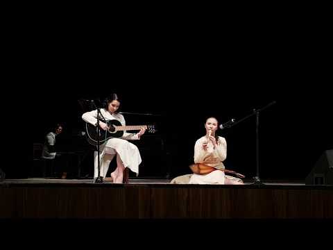 Видео: бай-баю кота