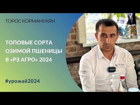 Видео: Топовые сорта озимой пшеницы в «РЗ Агро» 2024: разбор по зонам и предшественникам #урожай2024