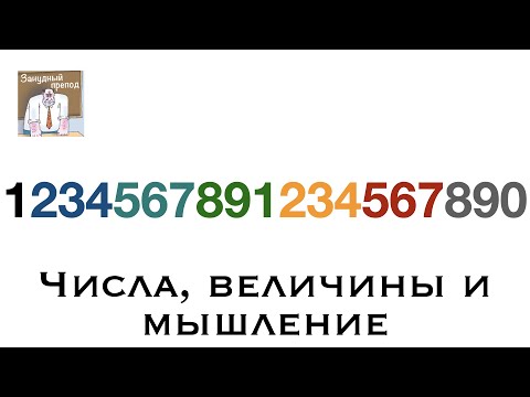 Видео: Числа, величины и мышление