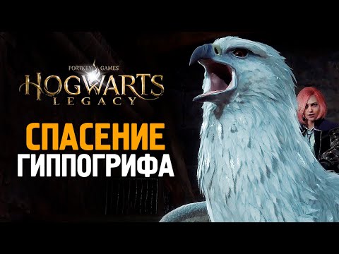 Видео: ПОЛЕТУШКИ НА ГИППОГРИФЕ - HOGWARTS LEGACY #10