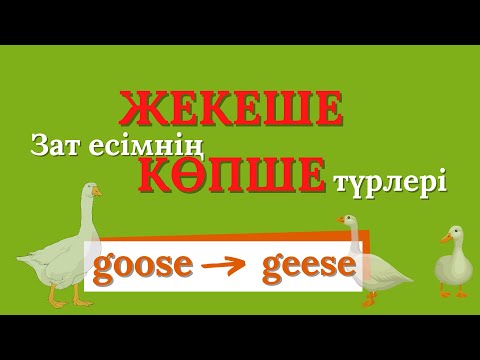 Видео: ЖЕКЕШЕ және КӨПШЕ түрдегі зат есімдер | Singular and plural nouns. 2-PART.