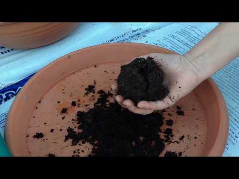 Видео: Простой способ проверить консистенцию субстрата для рассады.