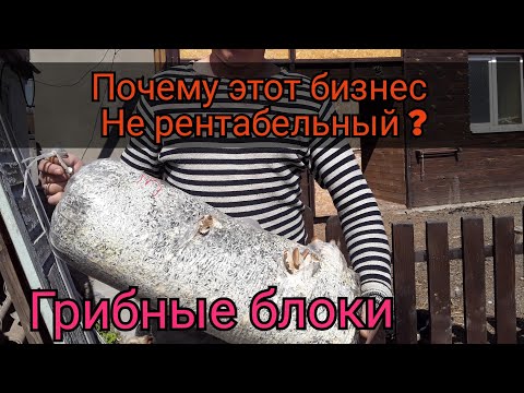 Видео: Почему этот Бизнес не Рентабельный. Расставим все точки над "И"/Грибные Блоки. Ответы на вопросы
