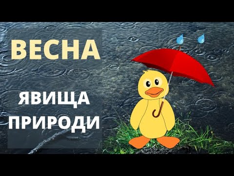 Видео: Весняні явища живої та неживої природи. Явища природи навеснi. Реальні відео природних явищ.