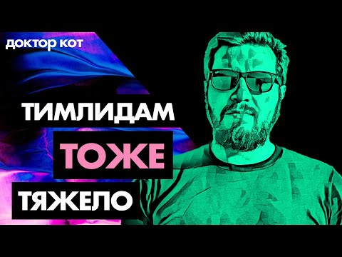 Видео: Все боли тимлидов — ответственность, нагрузка, чужие проблемы — Доктор Кот