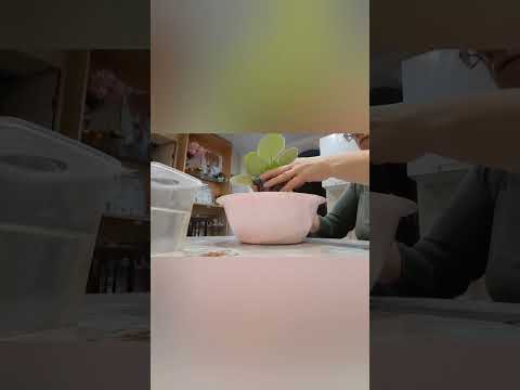 Видео: Задали вопрос. Надо ответить.