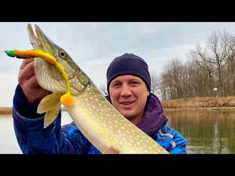 Видео: ОТЛИЧНЫЙ ОСЕННИЙ ЩУЧИЙ КЛЕВ НА СИЛИКОНОВЫЕ ПРИМАНКИ В БОГАТЫХ РЫБОЙ ПРОТОКАХ