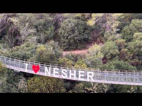 Видео: Нешер. Подвесные мосты. #нешер #israel #мост #природа #парк #лес #haifa 