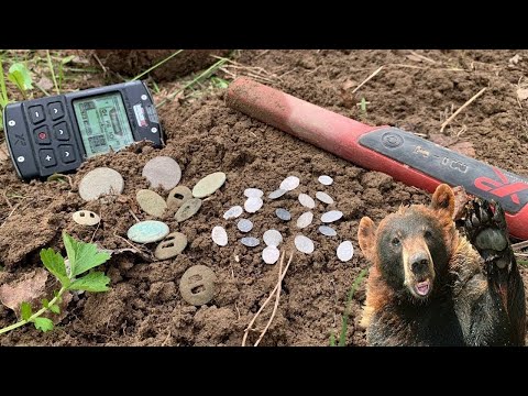 Видео: Как я раскопал редкие монеты в старом лесу с МЕДВЕДЕМ