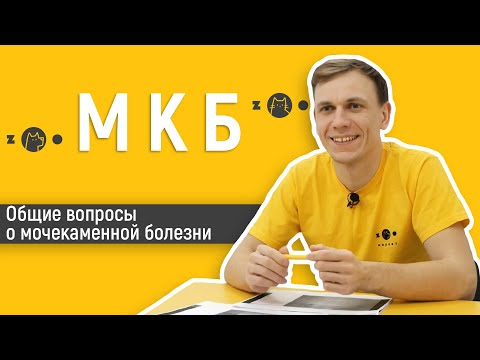 Видео: Мочекаменная болезнь у кошек и собак: запись прямого эфира с ветеринаром Зоомаркет.