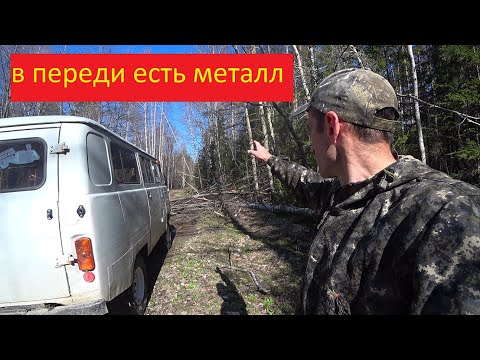 Видео: Металлакоп на медвежьем поле 16.05.24(Видео из архива!)