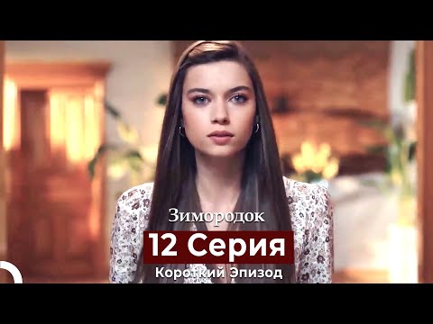 Видео: Зимородок 12 Cерия (Короткий Эпизод) (Русский дубляж)