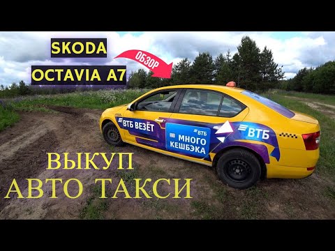 Видео: SKODA OCTAVIA A7 РЕСТАЙЛИНГ - ОБЗОР АВТО КТОРОЕ Я ВЗЯЛ ПОД ВЫКУП В ТАКСИ / ПОДРОБНО ПРО ВЫКУП