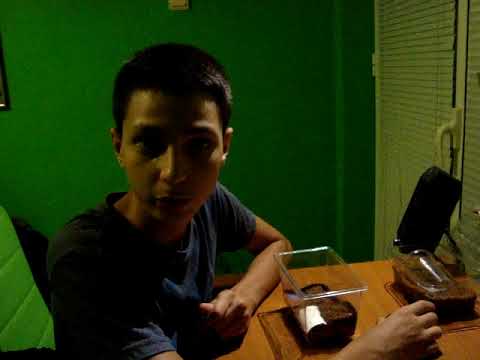 Видео: PET TAG/МОЯТ ДОМАШЕН ЛЮБИМЕЦ #1