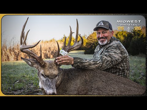 Видео: Крупный самец сокрушает царапки, идеальная охота Оуэна в конце октября | Белохвостый олень Средне...