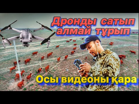 Видео: Дронмен мал бағу | Дрон DJI AIR 2S