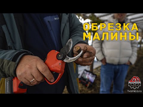 Видео: Обрезка малины электрическим секатором Творница