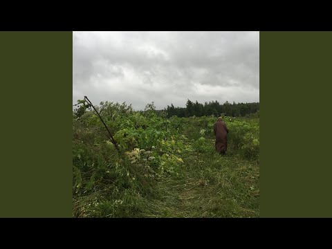 Видео: Эндемик