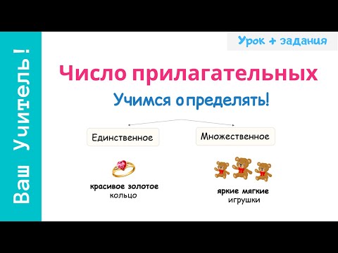 Видео: Единственное и множественное число прилагательных. Как определить число имен прилагательных?