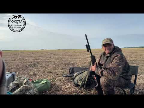 Видео: Подсадные крякают а утки все не было! Но день проведеный на охоте в счет жизни не идет!