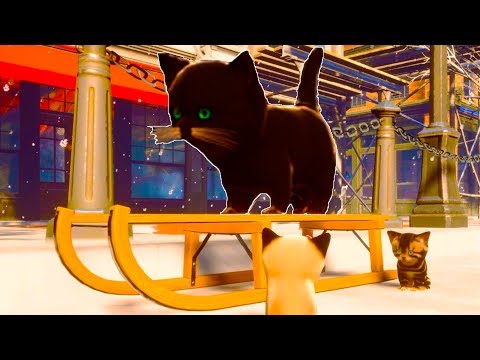 Видео: КОТЫ на САНКАХ #3 Первый снег в городе Play With Gilbert. Катаюсь на черепахе - пурумчата