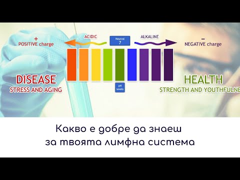 Видео: Wellness Семинар: Мануален Лимфен Дренаж и Особености на Лимфната Система