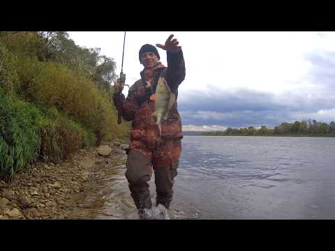 Видео: РЫБАЛКА на ЖИВЦА. ЗАКИДУШКИ и ХОДОВАЯ ДОНКА. Монтаж и особенности ловли.