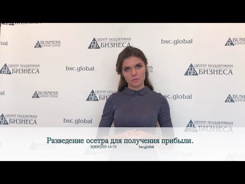 Видео: Разведение осетра для получения прибыли.