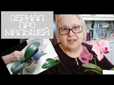 Видео: Очередная серия о регулярном уходе за "малышковой"группой. Подробно о том, что и как я делаю.