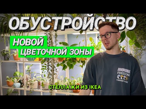 Видео: ОБУСТРОЙСТВО НОВОЙ ЦВЕТОЧНОЙ ЗОНЫ | СТЕЛЛАЖИ ИЗ IKEA | БОЛЕЕ 150 растений на полках |