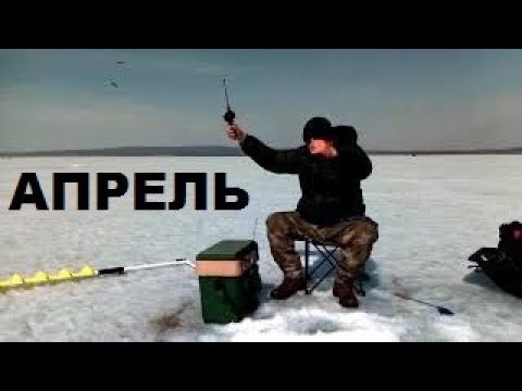 Видео: РЫБАЛКА В АПРЕЛЕ СО ЛЬДА, ЛОВЛЯ ЧЕБАКА, ОЗ.ШАКША