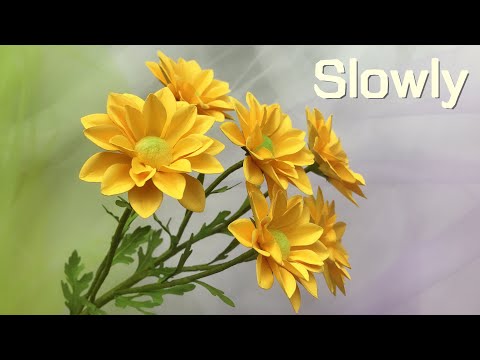 Видео: ABC TV | Как сделать цветок хризантемы № 1 (медленно) - Учебник по рукоделию