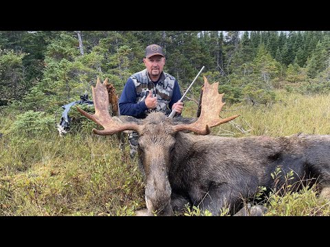 Видео: Охота Эрика на ньюфаундлендского лося