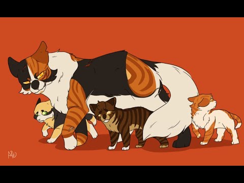 Видео: Кленовница коты воители клип Katy Perry