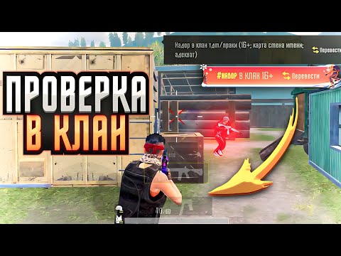 Видео: ПРОШЕЛ ПРОВЕРКУ В КЛАН ИЗ ЛОКАЛЬНОГО ЧАТА?