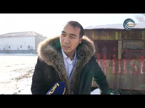 Видео: АЛАКӨЛДІҢ АХУАЛЫ ҚАЛАЙ?/ ҮШАРАЛ ҚАЛАСЫ / ТАЗА МЕКЕН / 02.12.2024