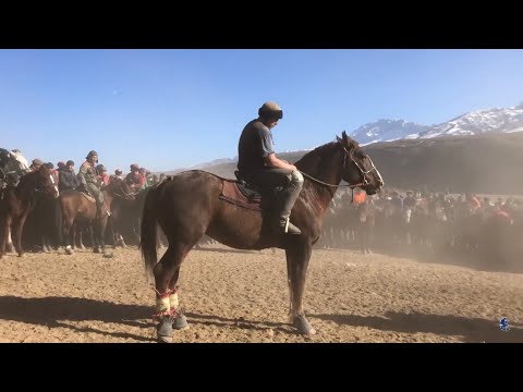 Видео: эр эниш Кудайберди балбан Ноокат району