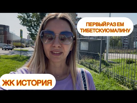 Видео: Первый раз пробую Тибетскую малину в Калининграде. ЖК История 🤔