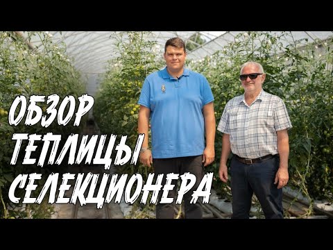 Видео: ЧЕМ ЗАНИМАЮТСЯ СЕЛЕКЦИОНЕРЫ ЛЕТОМ ?  | Обзор теплицы Тимирязевской Академии