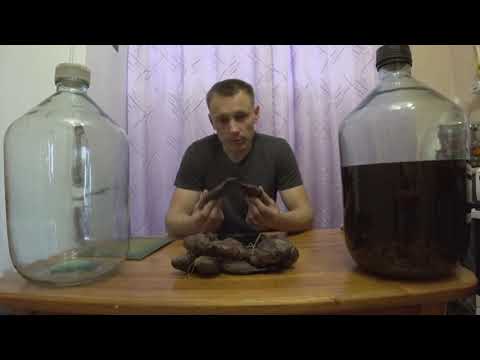 Видео: Как бобровая струя борется с недугом