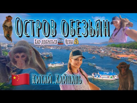 Видео: Остров обезьян. Китай, остров Хайнань, Санья. Цены. Как доехать.