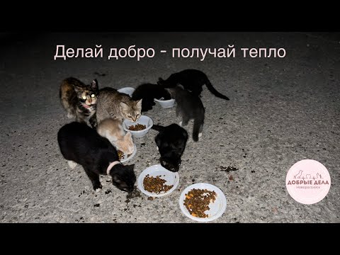 Видео: Делай добро - получай тепло